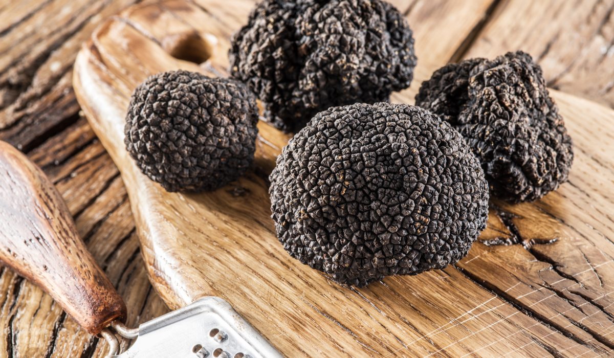 È tempo di… Tartufo nero estivo!